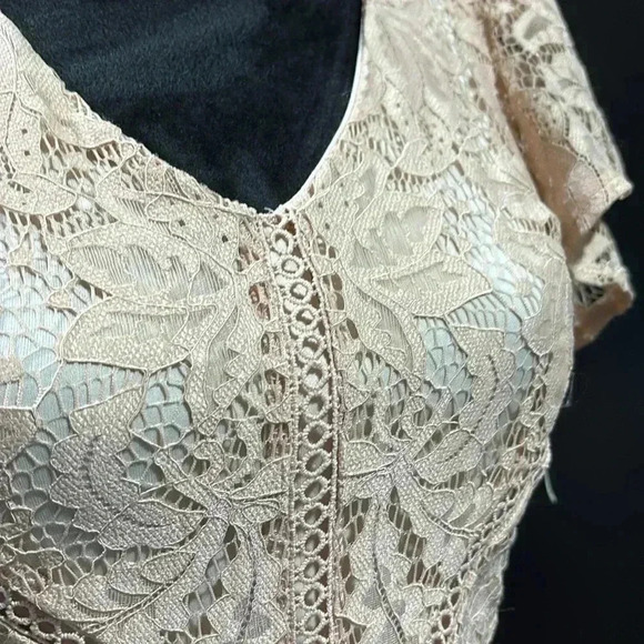 Just Taylor V-neck flutter sleeve lace,Hi/low ruffle,zip back, lined,zipper back - Picture 2 of 16